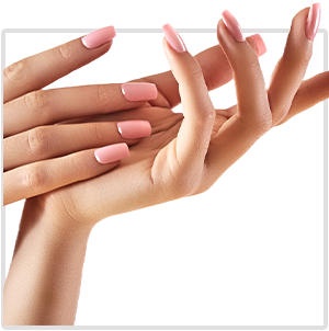 hand