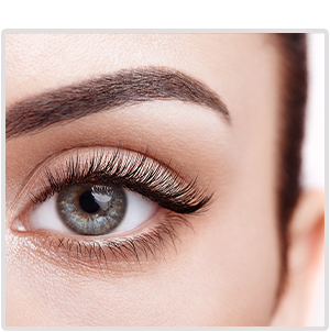 lashes